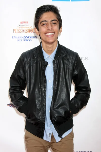 Karan Brar — Stockfoto