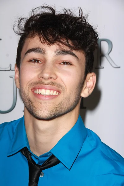 Max Schneider — Stock Photo, Image