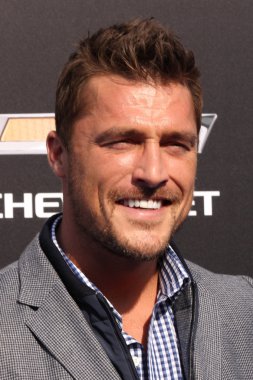 Chris Soules-aktör
