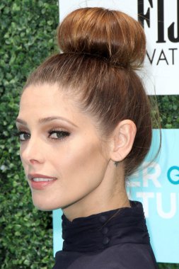 Ashley Greene - oyuncu