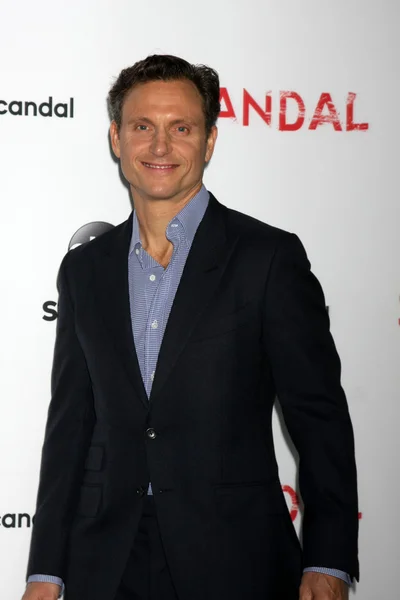 Tony Goldwyn - actor — Stock Photo, Image