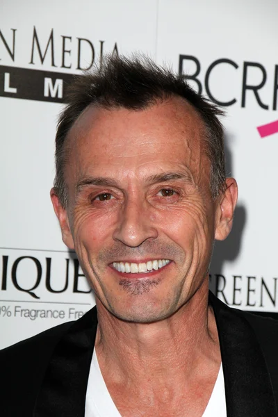 Robert Knepper - actor — Stock Photo, Image