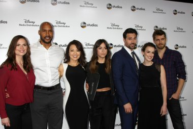 Hayley Atwell, Henry Simmons, Ming-Na Wen, Chloe Bennett, Brett Dalton, Elizabeth Henstridge, Luke Mitchell