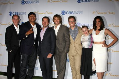 Miguel Ferrer, LL Cool J, Chris Donnell, Eric Christian Olsen, Barrett Foa, Renee Felice Smith, Daniela Ruah