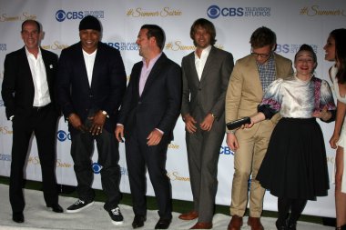 Miguel Ferrer, Ll Cool J, Chris O'Donnell, Eric Christian Olsen, Barrett Foa, Renee Felice Smith, Daniela Ruah