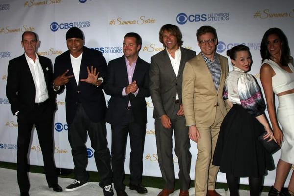 Miguel Ferrer, LL Cool J, Chris O 'Donnell, Eric Christian Olsen, Barrett Foa, Renee Felice Smith, Daniela Ruah —  Fotos de Stock