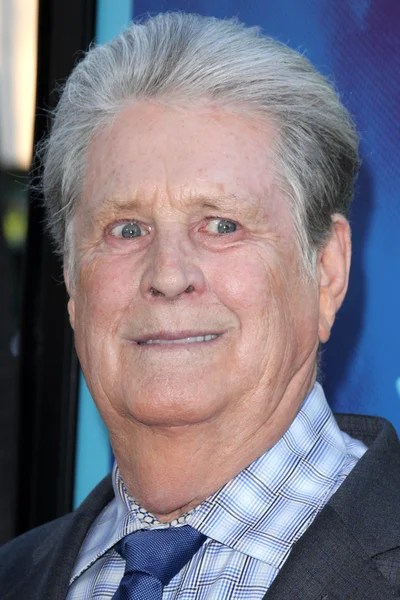 Musicista Brian Wilson — Foto Stock