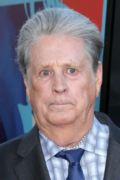 Musicus Brian Wilson — Stockfoto