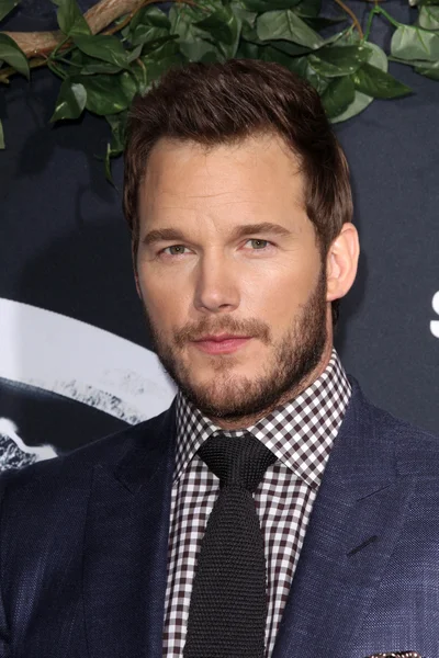 Chris pratt - Schauspieler — Stockfoto