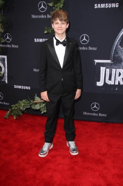 Ty simpkins - aktör