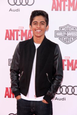 Karan Brar - aktör