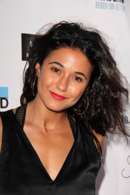 Emmanuelle chriqui - oyuncu
