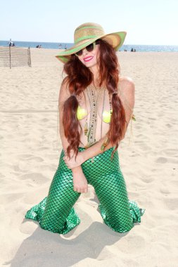 Phoebe fiyat - oyuncu