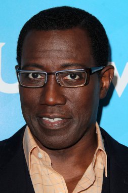 Wesley Snipes - aktör