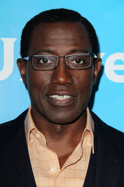 Wesley Snipes - actor — Stock Photo, Image