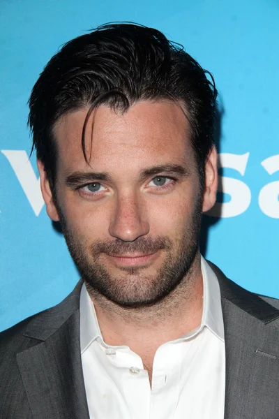 Colin Donnell - attore — Foto Stock