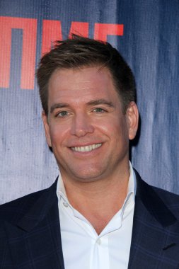 Michael Weatherly - aktör