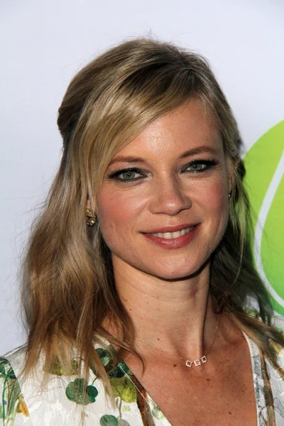 Herečka Amy Smart — Stock fotografie