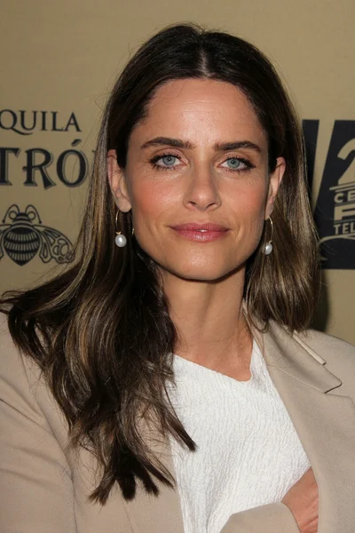 Amanda Peet - skuespiller – stockfoto