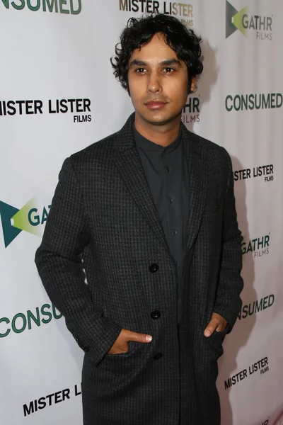 Kunal Nayyar - ator — Fotografia de Stock