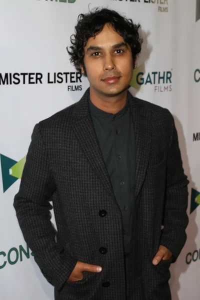 Kunal Nayyar - ator — Fotografia de Stock