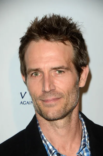 Michael Vartan - attore — Foto Stock