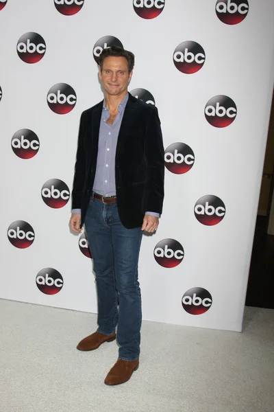 Tony Goldwyn - attore — Foto Stock