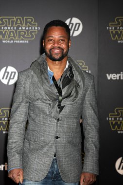 Cuba Gooding Jr  -actor