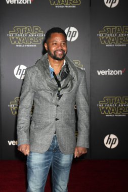 Cuba Gooding Jr  -actor
