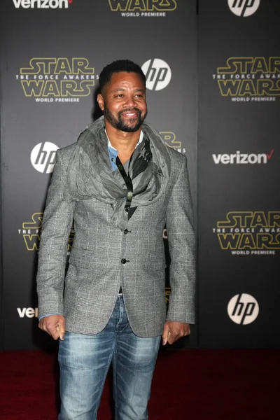 Cuba Gooding Jr  -actor