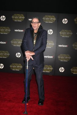 Peter Mayhew - actor