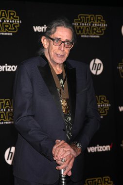 Peter Mayhew - actor