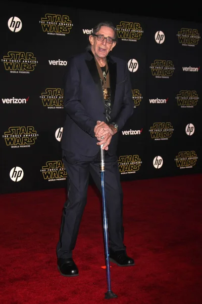 Peter Mayhew - actor — Stock Photo, Image