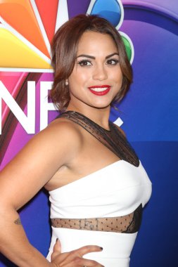 Monica Raymund - oyuncu