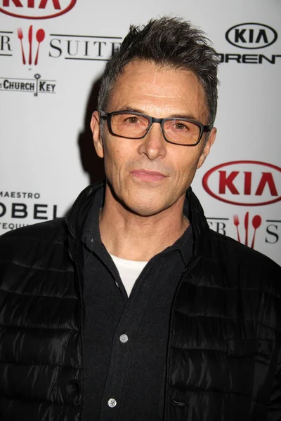 Tim Daly - actor — Stock Photo, Image