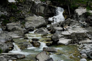             Slovakya 'daki High Tatras Ulusal Parkı' nda dağ nehri ve şelale                   