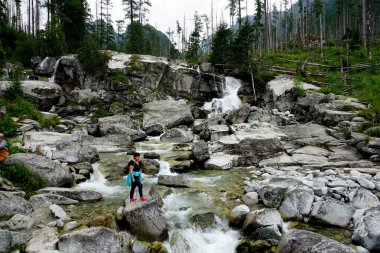             Slovakya 'daki High Tatras Ulusal Parkı' nda dağ nehri ve şelale                   
