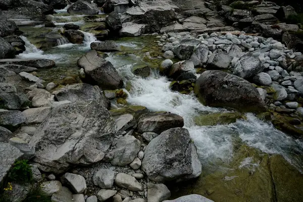 Горная Река Водопад Национальном Парке Высокие Татры Словакия — стоковое фото