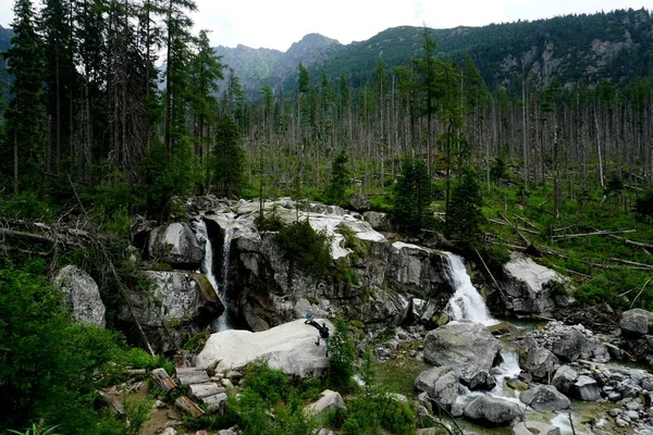 Mountain river and waterfall in High Tatras National Park, Slovakia