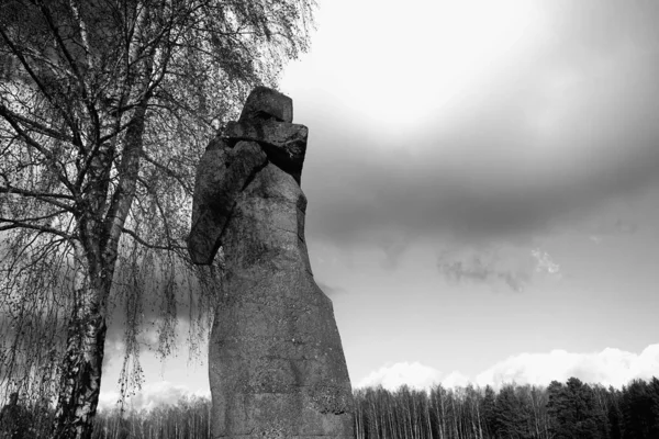 萨拉什皮勒斯 拉特维亚 11月11日 萨拉什皮尔斯纪念馆 Salaspils Memorial Ensemble 大型混凝土雕塑 前纳粹集中营 带薄膜颗粒的黑白摄影 — 图库照片
