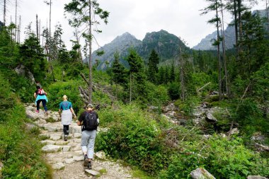                   HIGH TATRA, SLOVAKIA - 20 Temmuz 2019: Hrebienok, Stary Smokovec, Vysoke Tatry. Yüksek Tatra dağlarının zirvesine tırmanan insanlar, Slovakya             