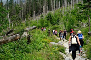                   HIGH TATRA, SLOVAKIA - 20 Temmuz 2019: Hrebienok, Stary Smokovec, Vysoke Tatry. Yüksek Tatra dağlarının zirvesine tırmanan insanlar, Slovakya             