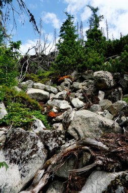                  HIGH TATRA, SLOVAKIA - 20 Temmuz 2019: Hrebienok, Stary Smokovec, Vysoke Tatry. Yüksek Tatra dağlarının zirvesine tırmanan insanlar, Slovakya             