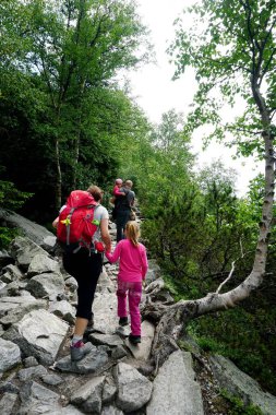                   HIGH TATRA, SLOVAKIA - 20 Temmuz 2019: Hrebienok, Stary Smokovec, Vysoke Tatry. Yüksek Tatra dağlarının zirvesine tırmanan insanlar, Slovakya             