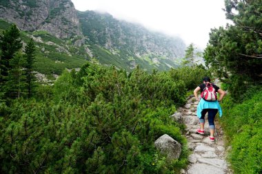                   HIGH TATRA, SLOVAKIA - 20 Temmuz 2019: Hrebienok, Stary Smokovec, Vysoke Tatry. Yüksek Tatra dağlarının zirvesine tırmanan insanlar, Slovakya             