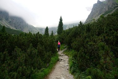                   HIGH TATRA, SLOVAKIA - 20 Temmuz 2019: Hrebienok, Stary Smokovec, Vysoke Tatry. Yüksek Tatra dağlarının zirvesine tırmanan insanlar, Slovakya             