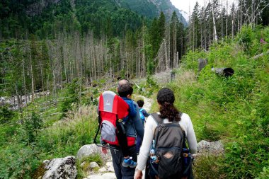 HIGH TATRA, SLOVAKIA - 20 Temmuz 2019: Hrebienok, Stary Smokovec, Vysoke Tatry. Yüksek Tatra dağlarının zirvesine tırmanan insanlar, Slovakya                               
