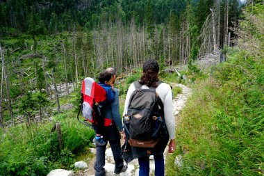 HIGH TATRA, SLOVAKIA - 20 Temmuz 2019: Hrebienok, Stary Smokovec, Vysoke Tatry. Yüksek Tatra dağlarının zirvesine tırmanan insanlar, Slovakya                               