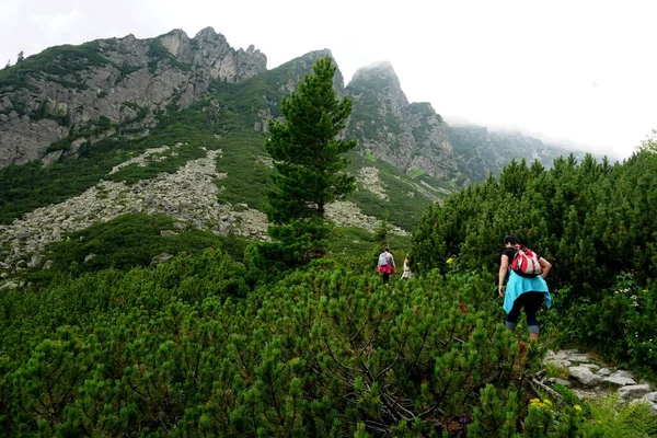 High Tatra Slovakia 2019 Hrebienok Stary Smokovec Vysoke Tatry 슬로바키아의 — 스톡 사진