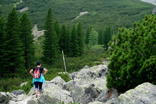 High Tatra Slovakia Июля 2019 Года Гребенок Старый Смоковец Высоке — стоковое фото